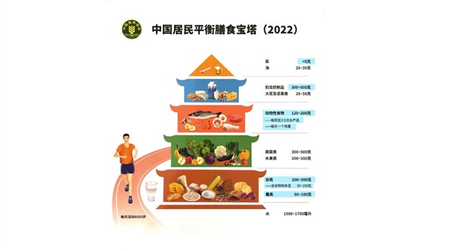 少精3-居民膳食宝塔.jpg