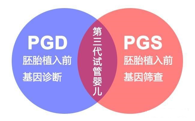 第三代试管